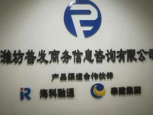 普发商务 专业商务信息咨询，助力企业战略决策与创新发展